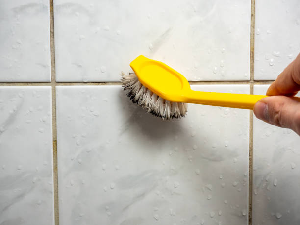 Best Same-Day Mold Removal  in Silver Springs, FL